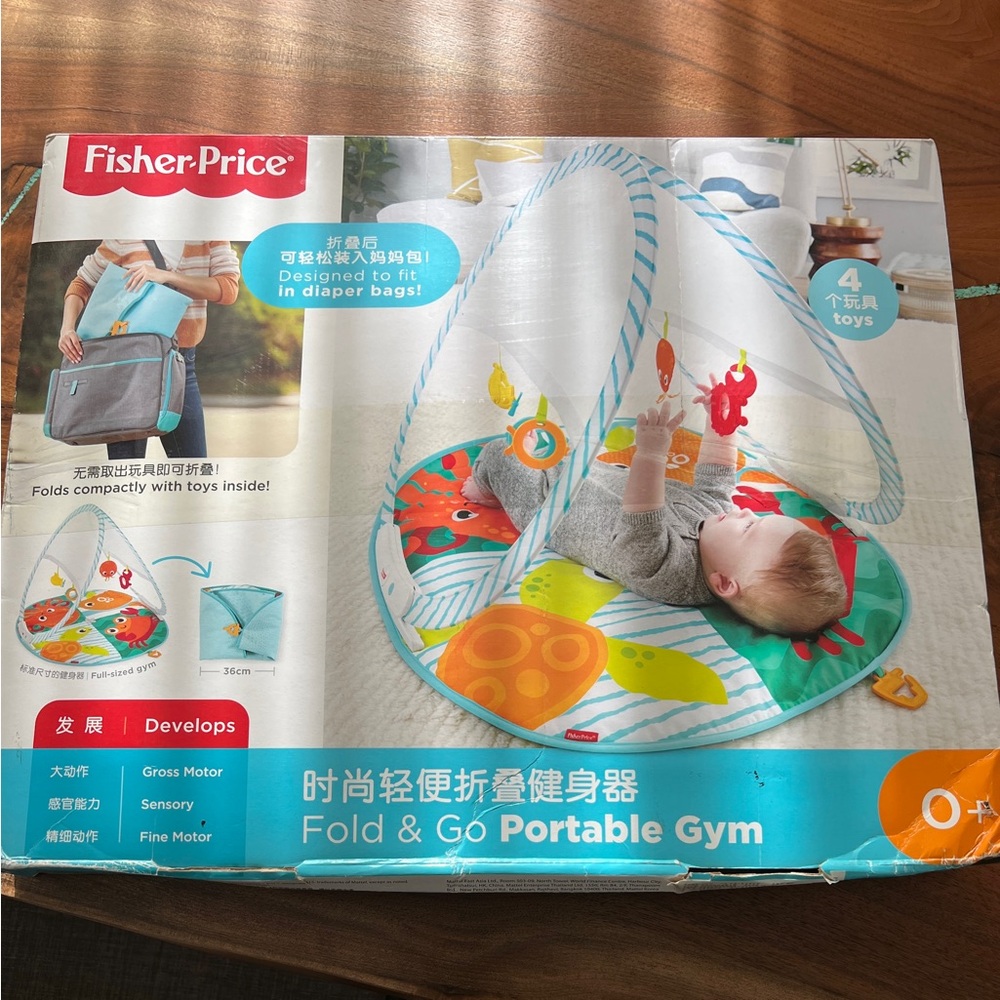 FisherPrice Fold and Go portable Gym